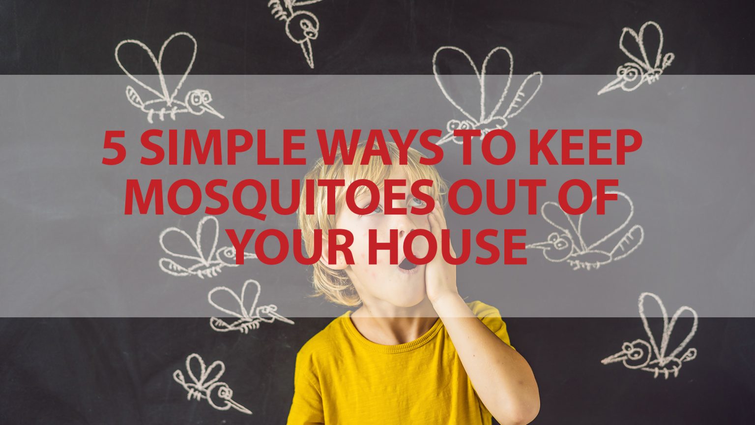 5 Simple Ways to Keep Mosquitoes Out of Your House
