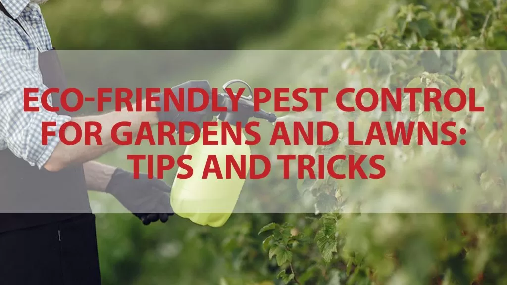 Eco-Friendly Pest Management