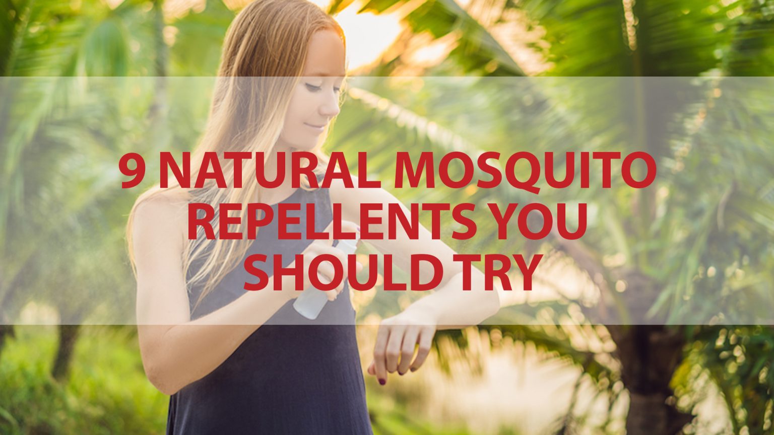 9 Natural Mosquito Repellents You Should Try