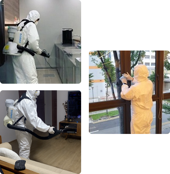 Disinfection Services in Singapore
