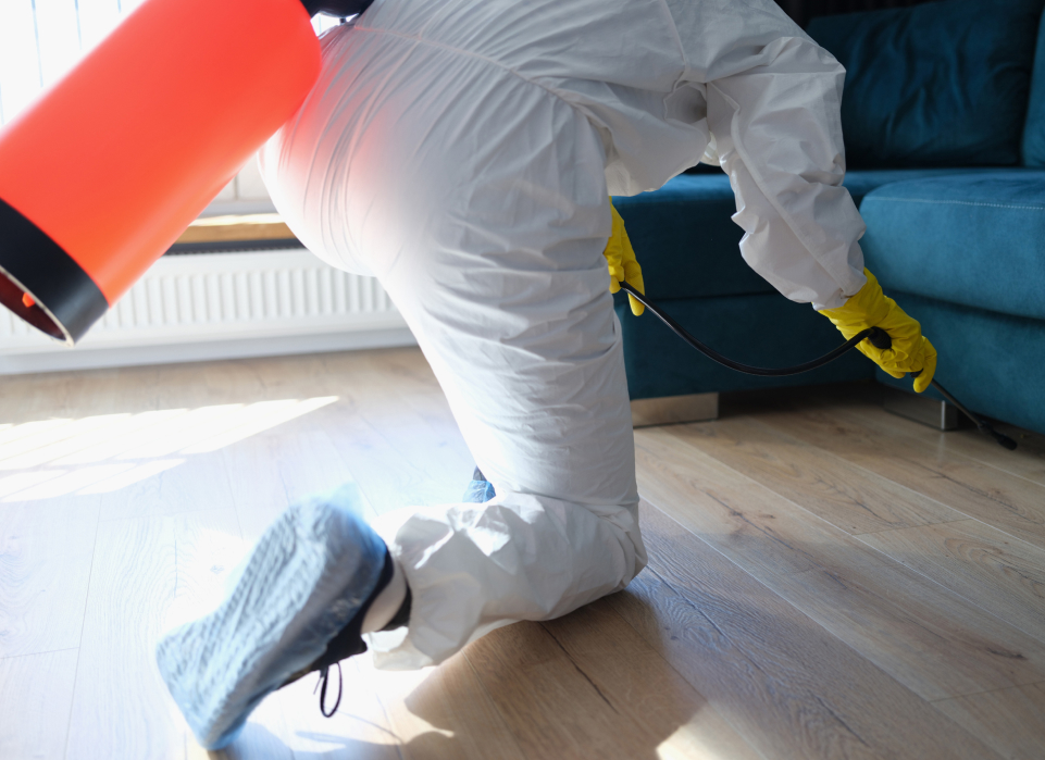 Anti–Microbial Disinfection