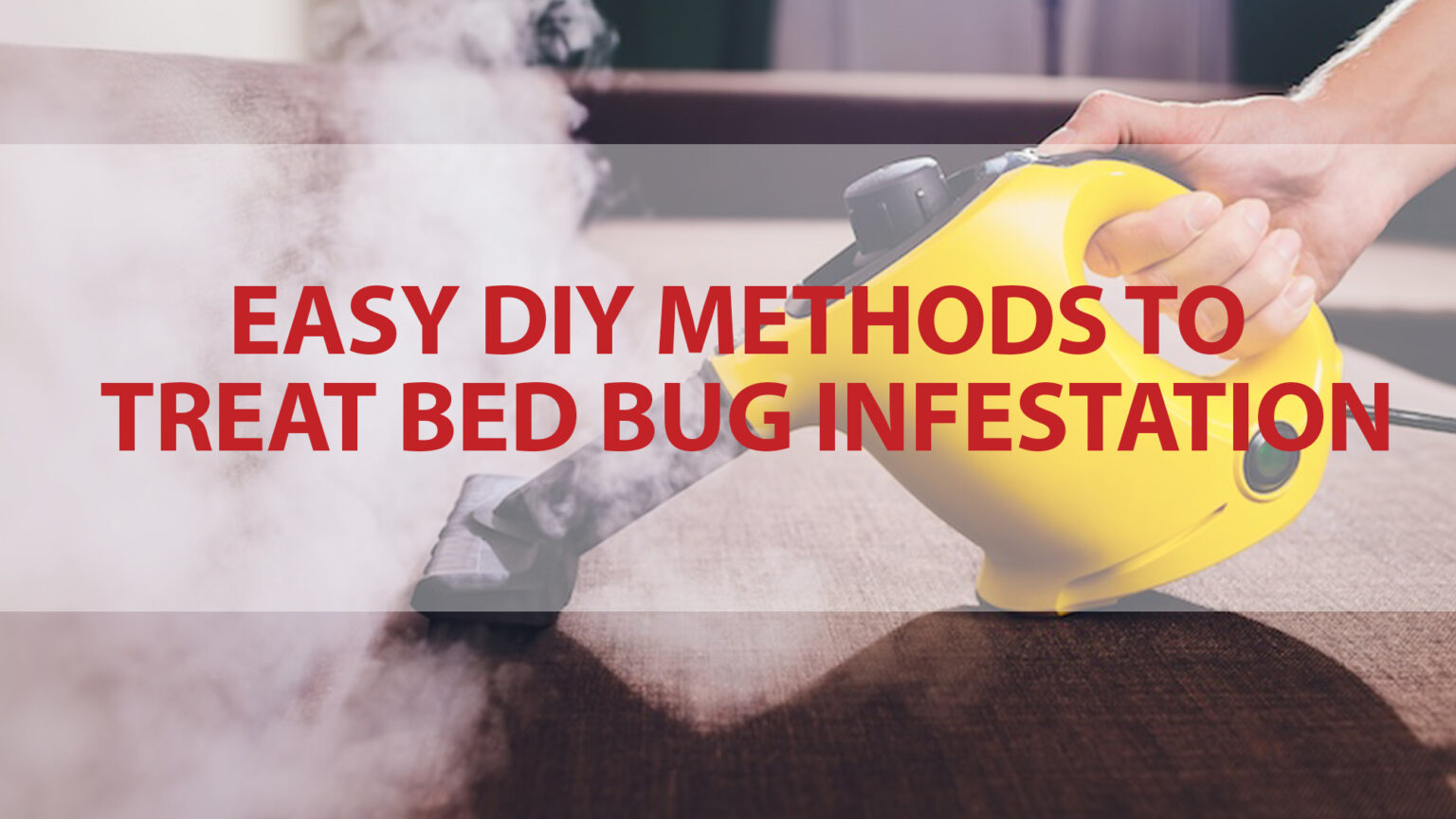 Easy DIY Methods to Treat Bed Bug Infestation