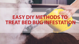 Easy DIY Methods To Treat Bed Bug Infestation