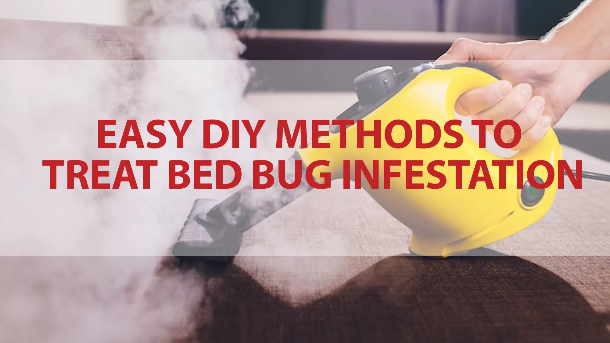 Treat Bed Bug