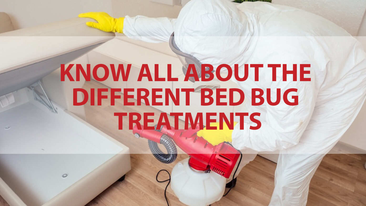 Know All About the Different Bed Bug Treatments