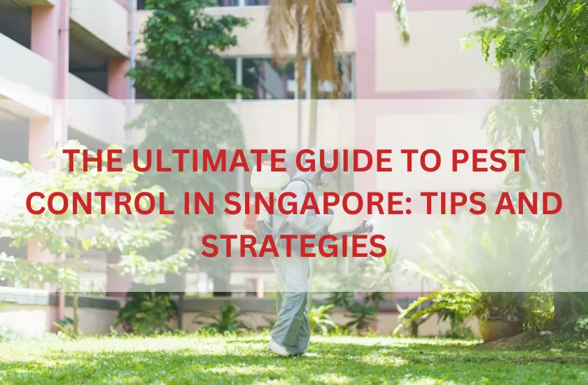 Pest Control in Singapore