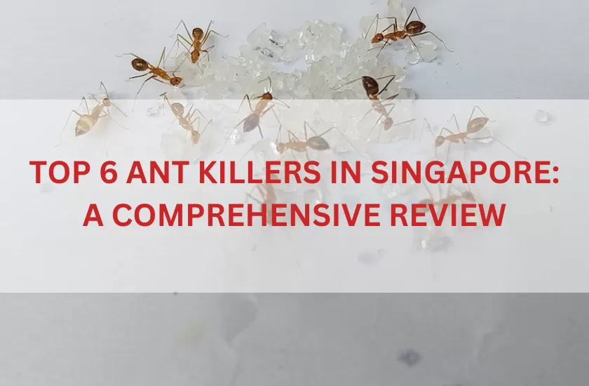 Ant Killers