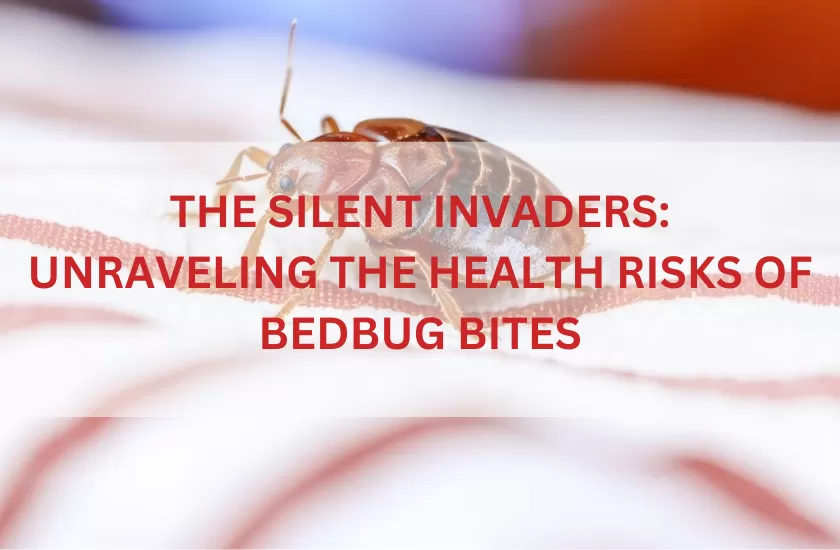 Bedbug Bites