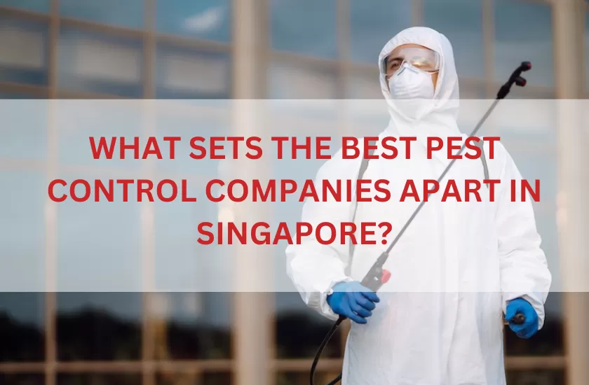 Best Pest Control