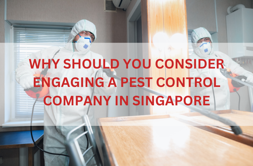 Pest Control Company in Singapore