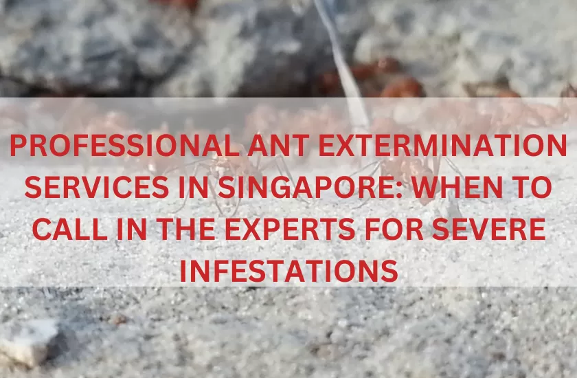 Ant Extermination